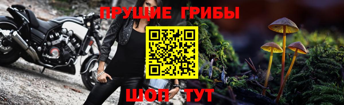 Новозыбков  Галлюциногенные грибы Magic Shrooms  Вход с VPN  Галлюциногенные грибы Cubensis 